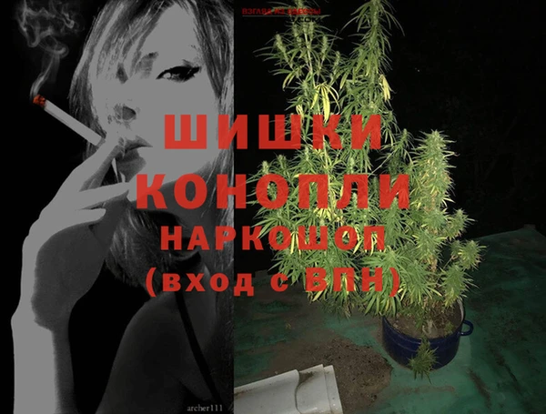 дживик Балахна