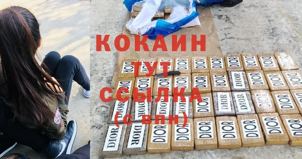 дживик Балахна