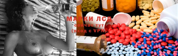 прущие крисы Баксан